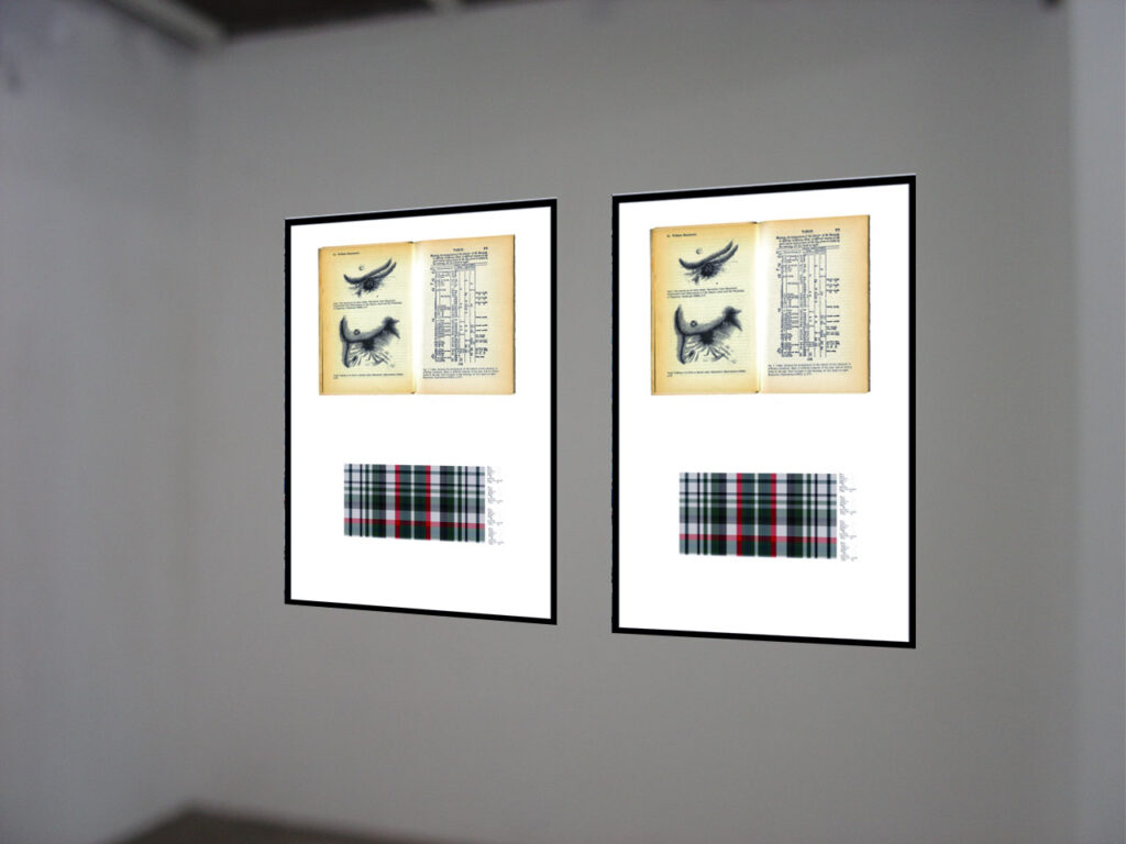 James Beckett exhibition view Tartan corner
